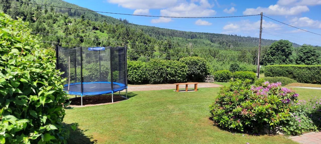 Chalet Les Marmottons Sauna pool table, Nintendo, Pétanque Gerbépal Esterno foto